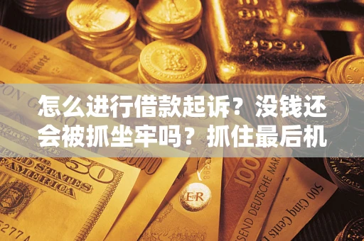 武汉怎么进行借款起诉？没钱还会被抓坐牢吗？抓住最后机会！