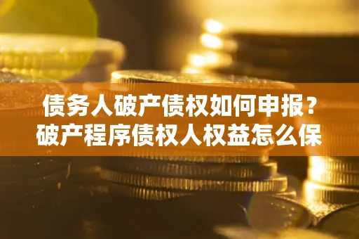 武汉债务人破产债权如何申报？破产程序债权人权益怎么保障？