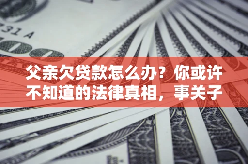 武汉父亲欠贷款怎么办？你或许不知道的法律真相，事关子女未来