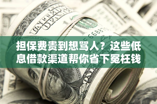 武汉担保费贵到想骂人？这些低息借款渠道帮你省下冤枉钱