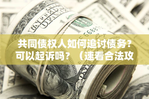 武汉共同债权人如何追讨债务？可以起诉吗？（速看合法攻略）