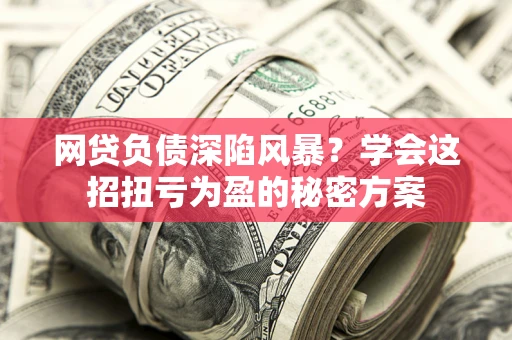 武汉网贷负债深陷风暴？学会这招扭亏为盈的秘密方案